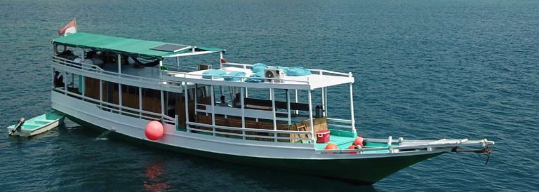 Komodo Open Trip 3D2N September 2026: The Definitive Guide