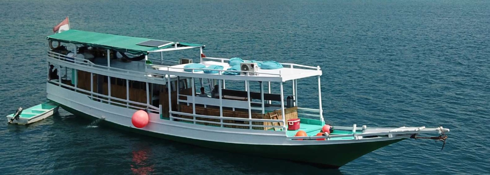 Komodo Open Trip 3D2N September 2026: The Definitive Guide