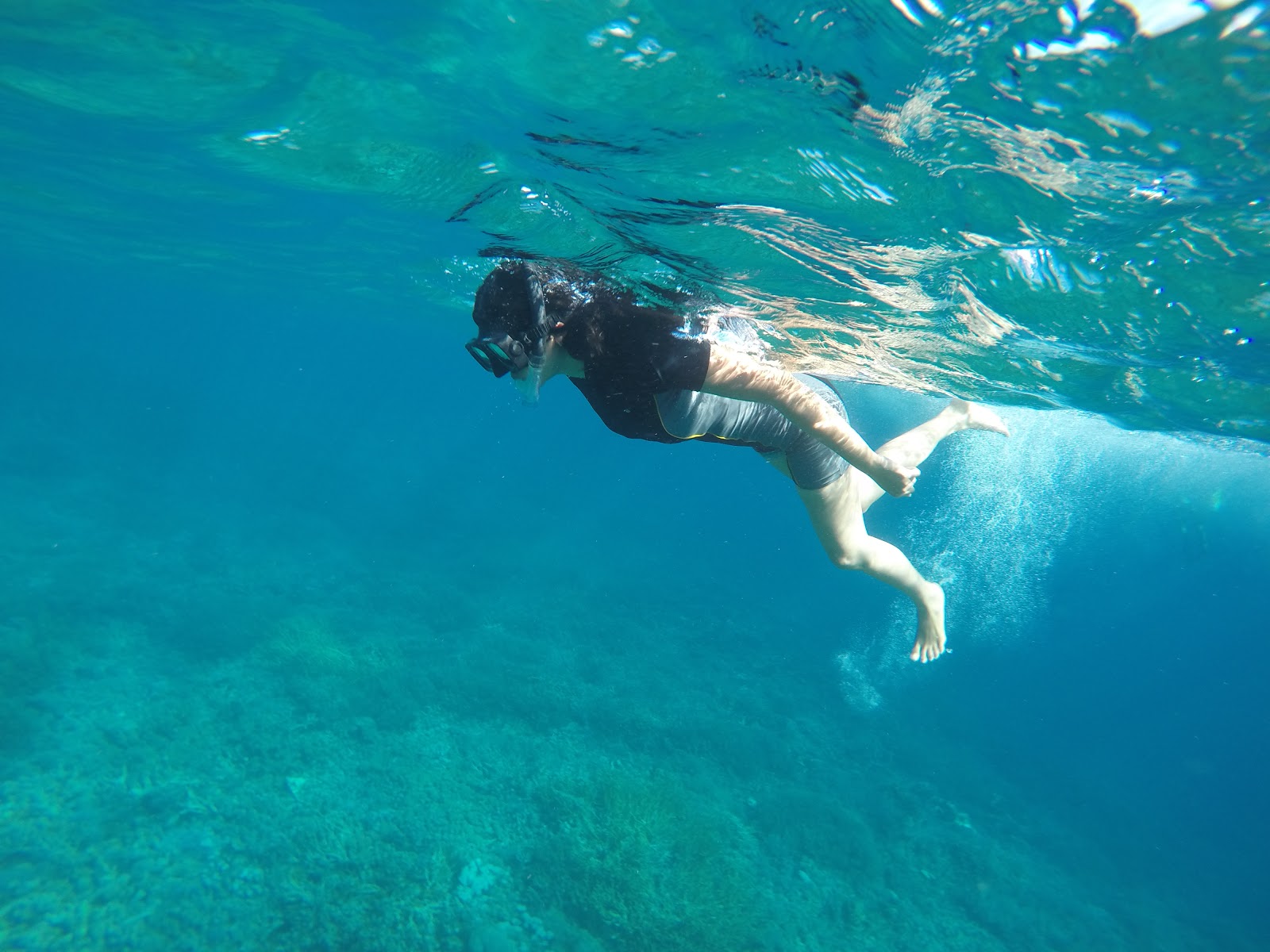 Manjarite and Siaba: Where Is the Calm Snorkelling in Komodo?