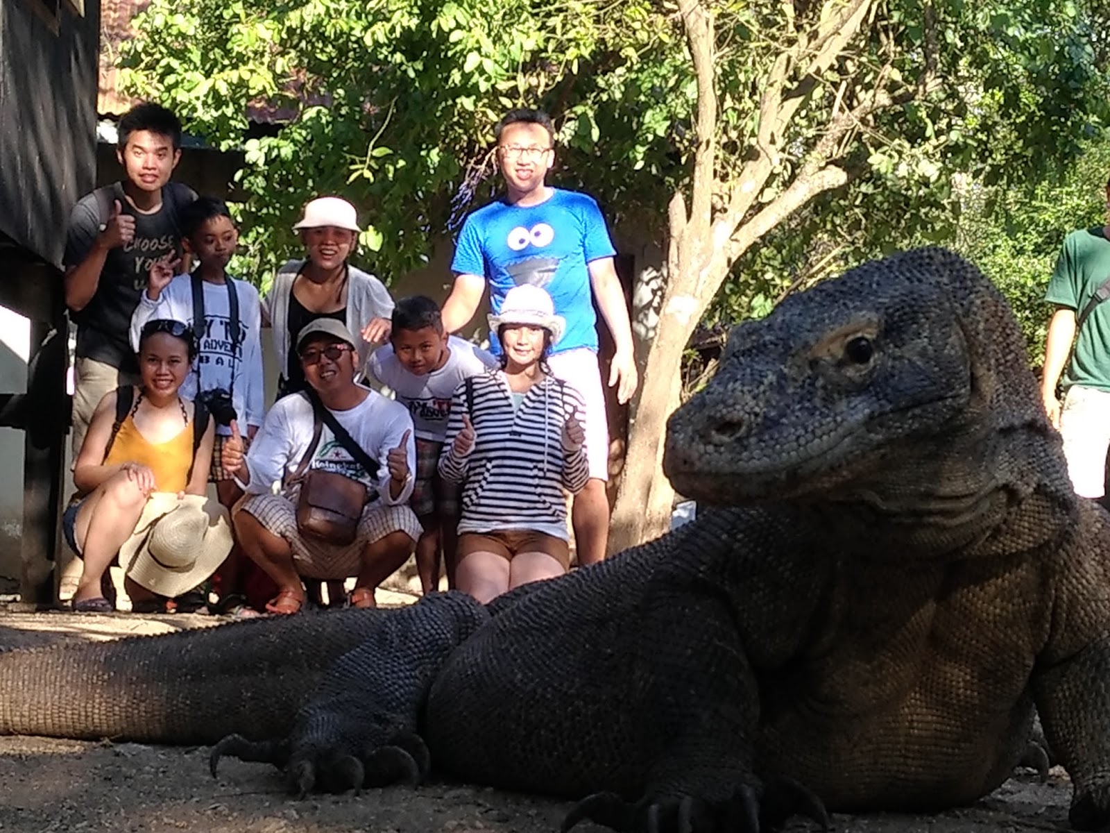 Are Komodo Dragons Dangerous to Tourists? Safety Facts for 2026 Visitors