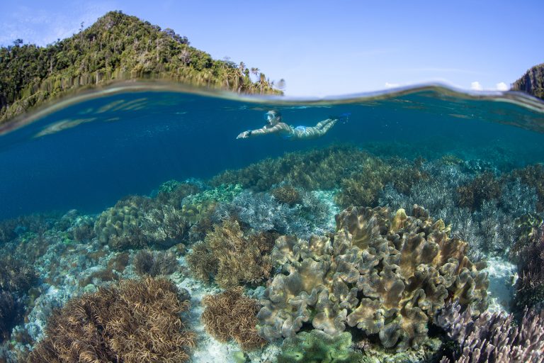 Island Hopping Plus Diving on One Trip: Does It Work?