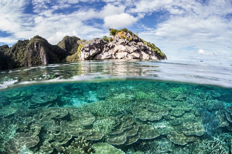 How to Plan Your 2027 Komodo 3 Island Liveaboard Trip: Itineraries, Dive Sites, and Certification Requirements