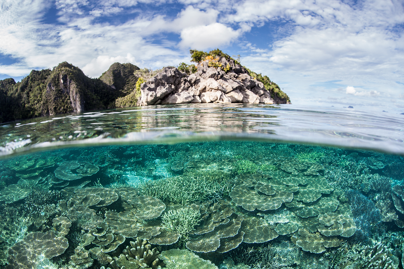 How to Plan Your 2027 Komodo 3 Island Liveaboard Trip: Itineraries, Dive Sites, and Certification Requirements