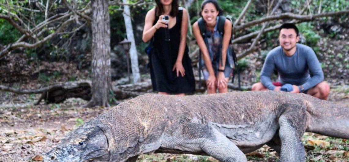 Komodo National Park Entrance Fees 2027: Full Liveaboard Cost Breakdown