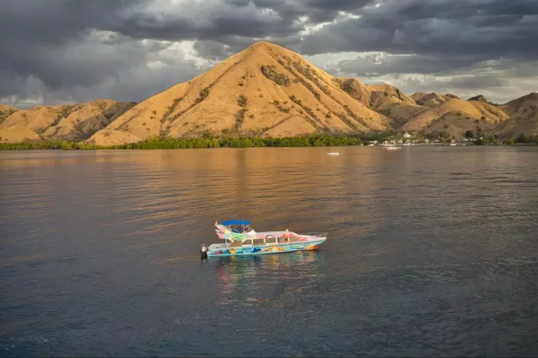 Labuan Bajo Liveaboard Trends: Navigating 2027 for Optimal Diving and Value
