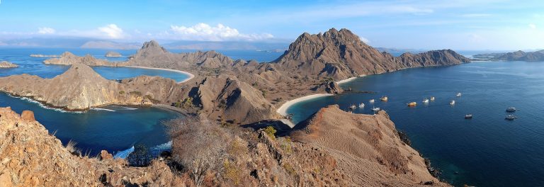 Is Komodo Overrated? An Honest Answer With Numbers