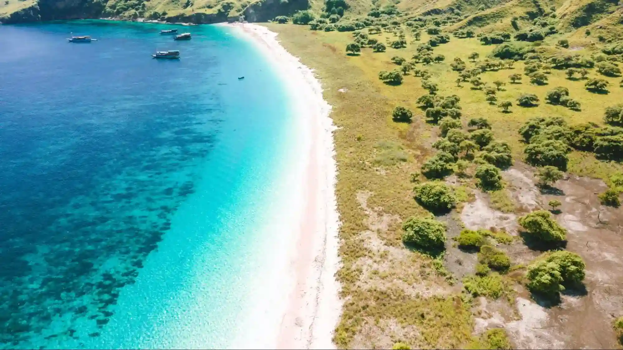 Komodo 3 Island Liveaboard Emerging Trends 2027: Eco-Friendly Kahoi Boats, Nitrox Options, and Private Dive Guides
