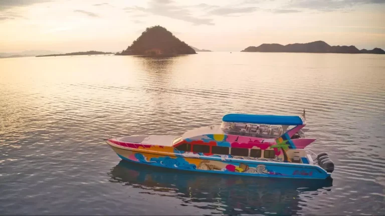 Booking Your Komodo 3 Day Liveaboard 2027: Deals, Availability, and Last-Minute Options