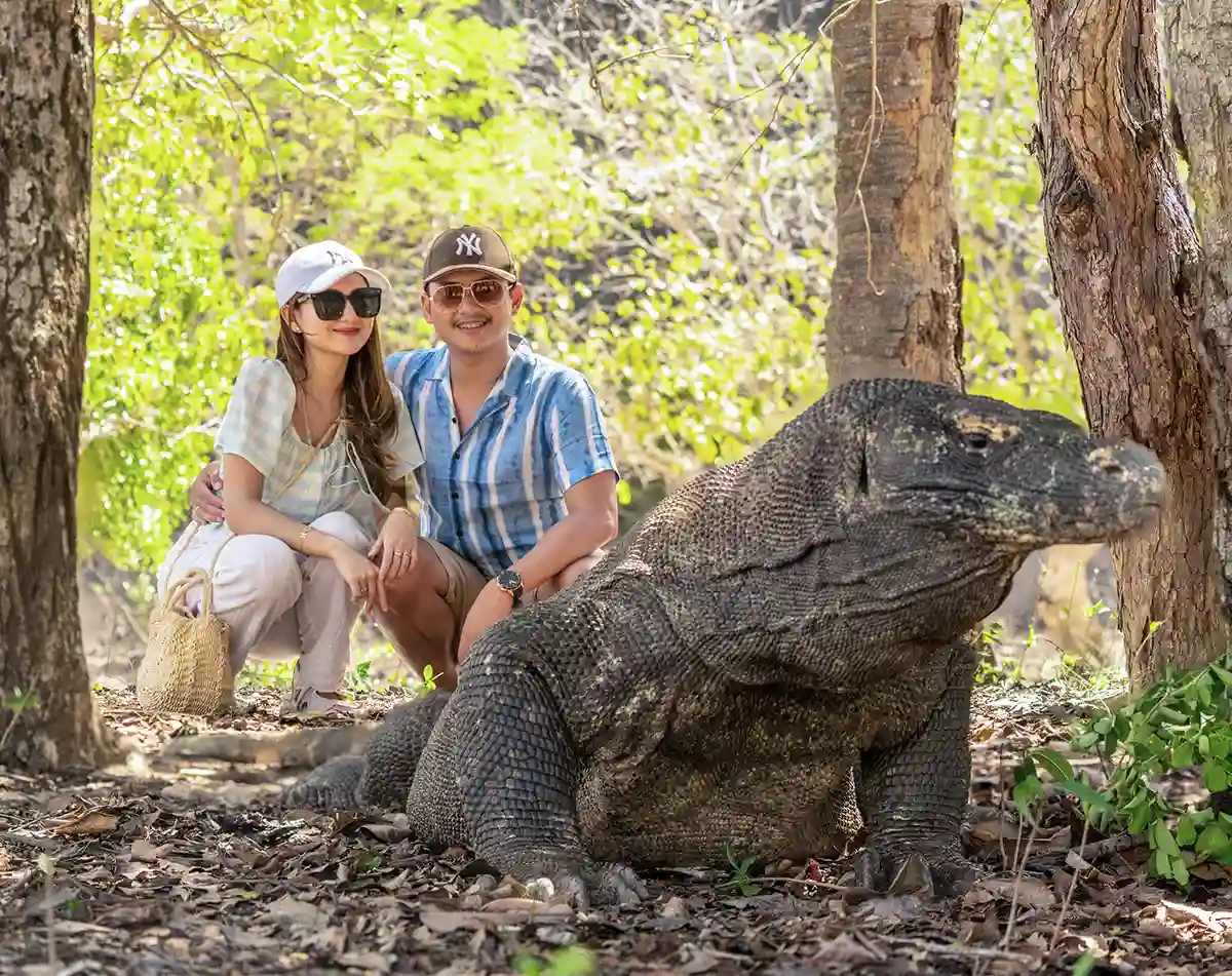 Komodo Island Hopping Liveaboard 2027: The Padar–Komodo–Rinca Route Explained