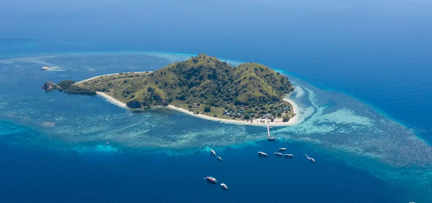 How to Plan Your 3Islandliveaboard Trip: Komodo 2027 Edition