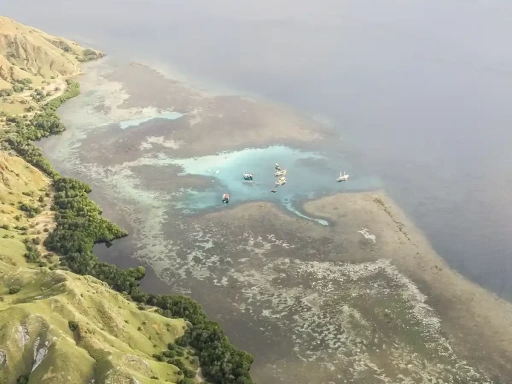 Siaba Island - Turtle Sanctuary and Snorkeling Spot Komodo